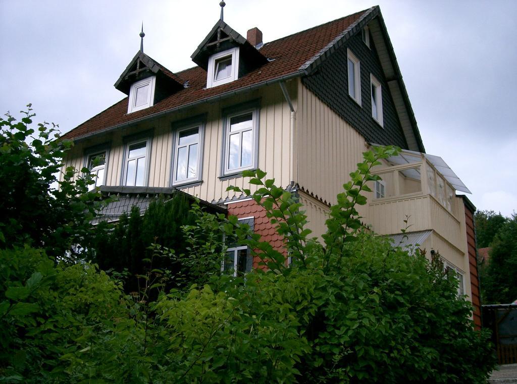 Pension Haus Martha Bad Grund Exterior foto